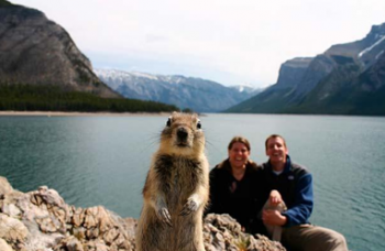 Squirrel staring out at us in front of woman and man at mountainside lake