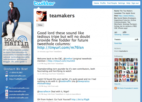 Screenshot of teamakers Flickr account with TodMaffin.com branding on left side