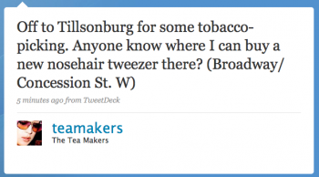 teamakers: Off to Tillsonburg for some tobacco-picking. Anyone know where I can buy a new nosehair tweezer there?